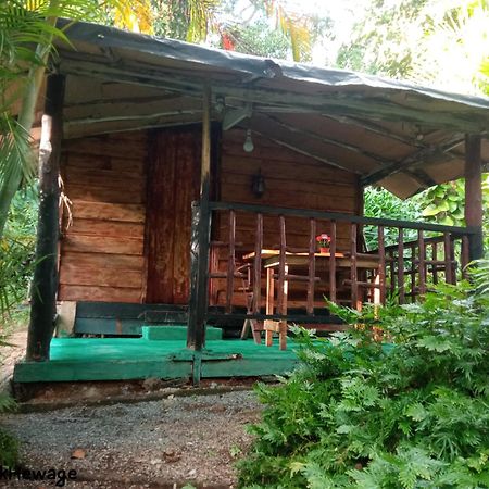 My House Ахангама Номер фото