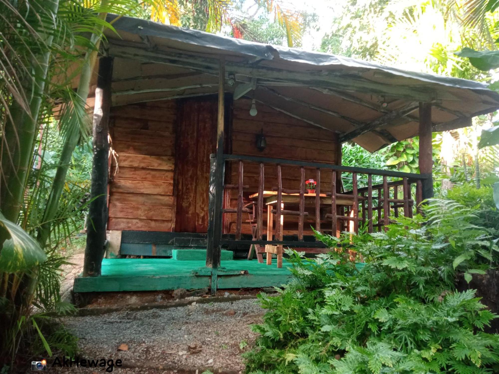 My House Ахангама Номер фото