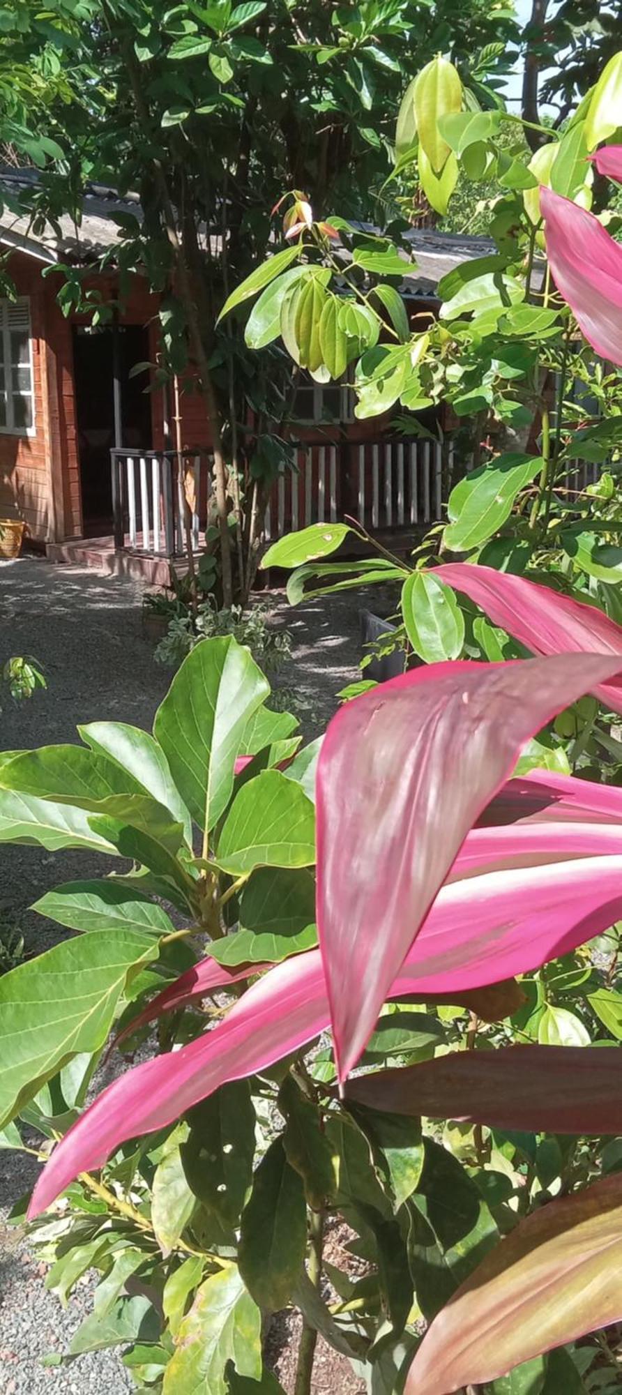 My House Ахангама Экстерьер фото