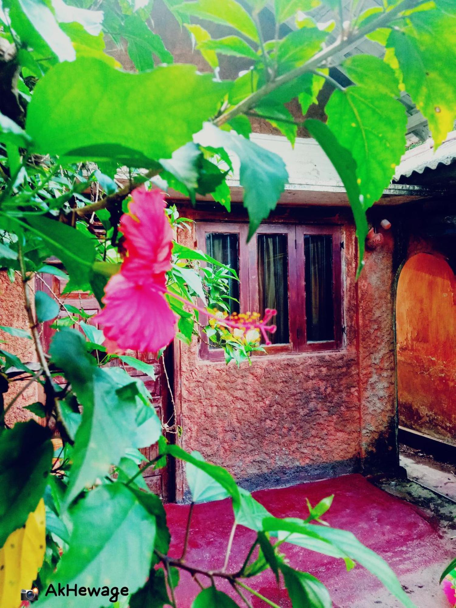 My House Ахангама Номер фото